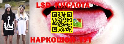 гидропоника Кумертау
