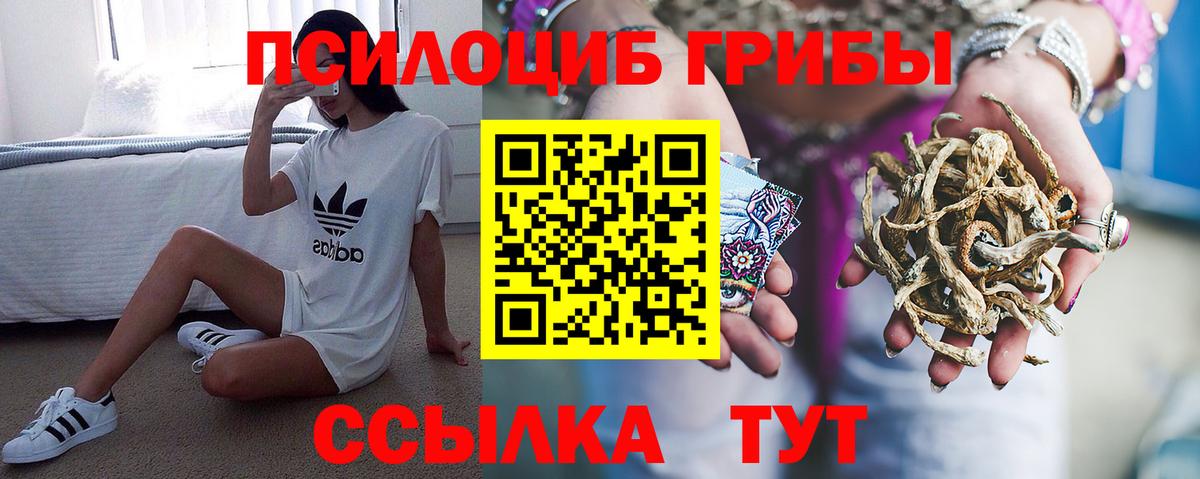 Псилоцибиновые грибы Cubensis  Галлюциногенные грибы Cubensis  Вход с VPN  как найти закладки  Ялуторовск 